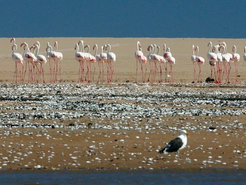 Walvis Bay - Namibya