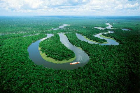 Amazon Nehri - Brezilya