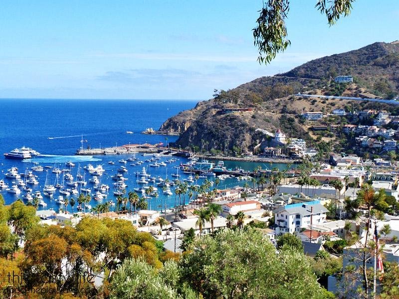 Catalina Adası Limanı