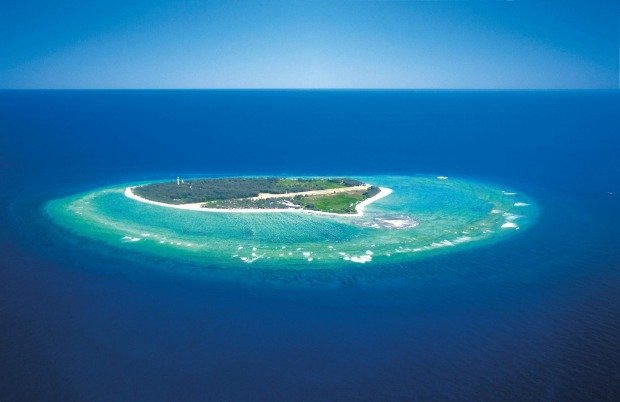 Willis Adası - Avustralya