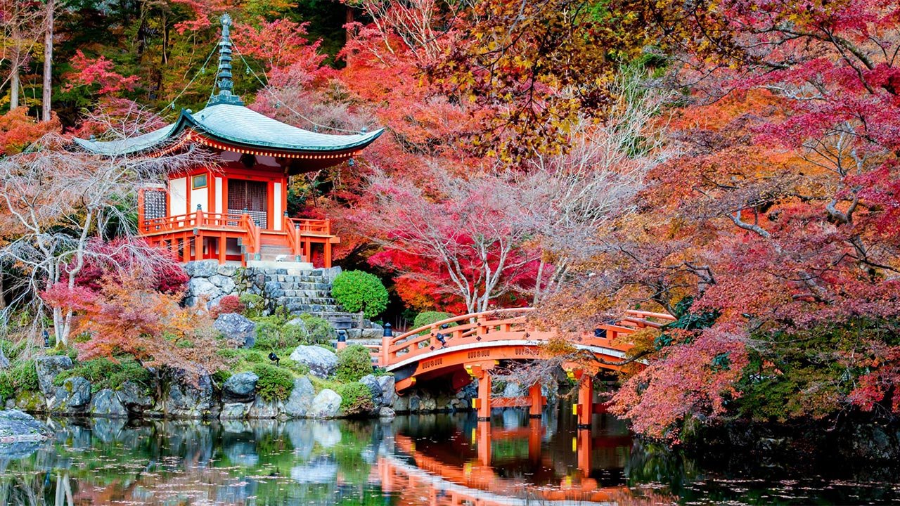 Navigator of the Seas Gemisi